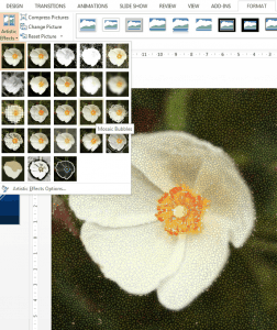 powerpoint Artistic Effects in PowerPoint